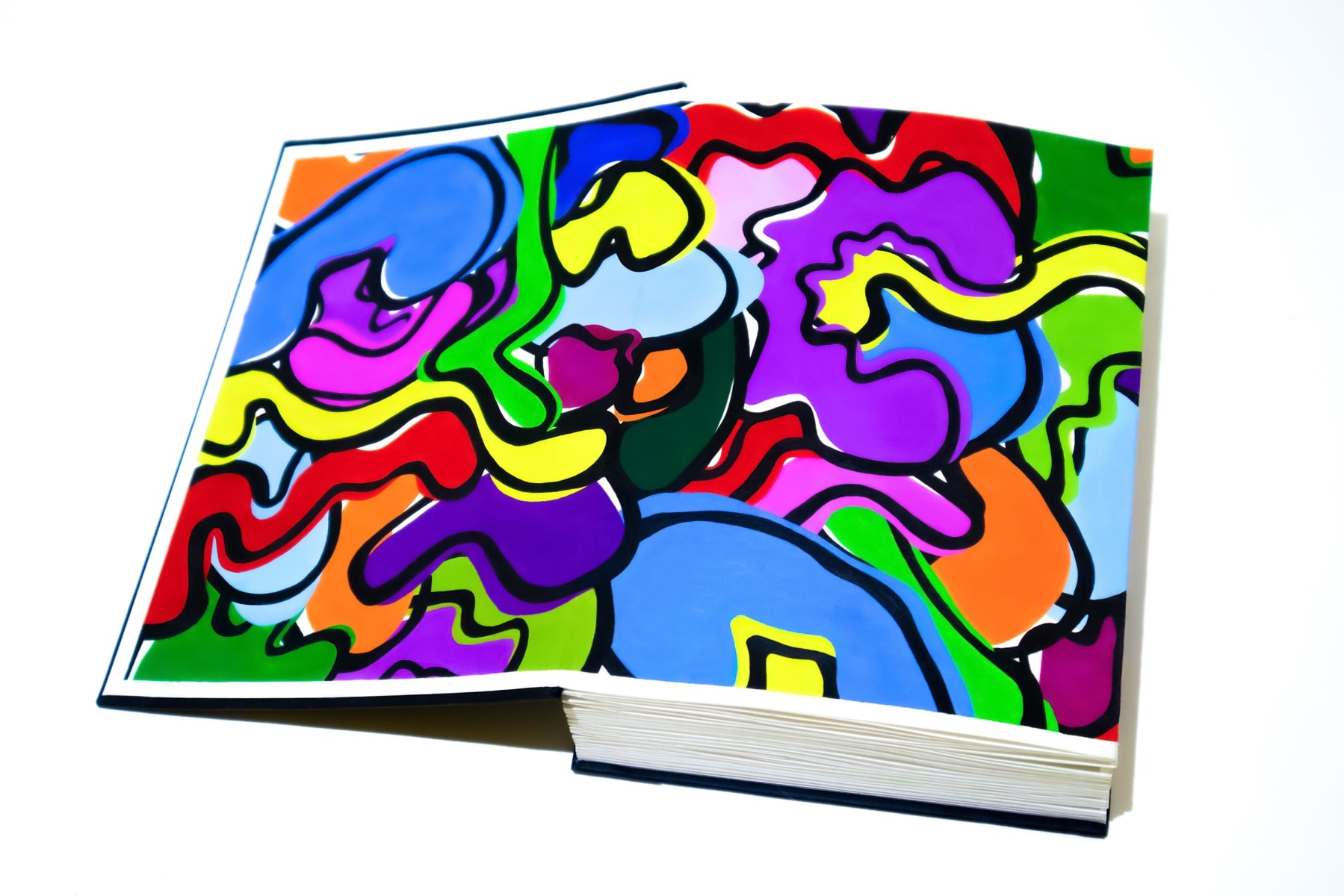 A thick spined book with a black cover is laid open on a white surface. The inside cover and front page is covered in brightly coloured organic shapes and outlined in black.