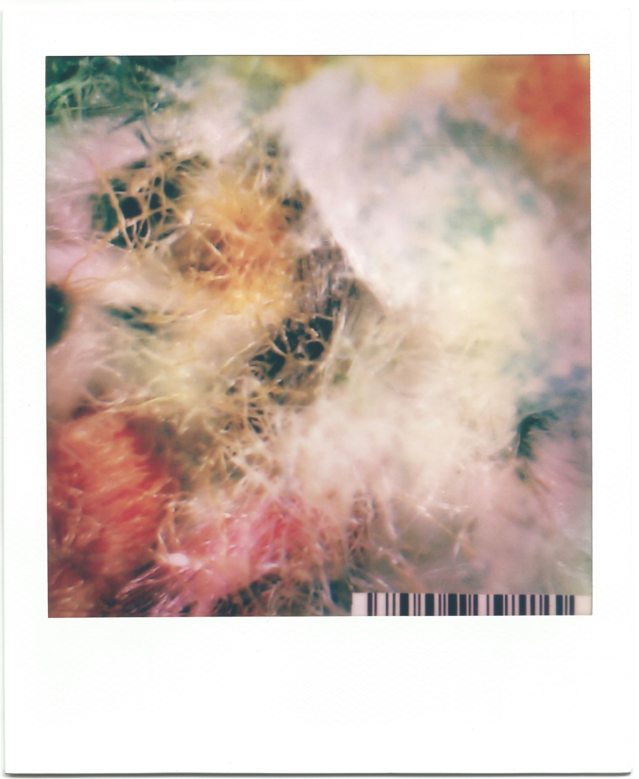 A portrait polaroid image containing a close up of different coloured fabric fibres.