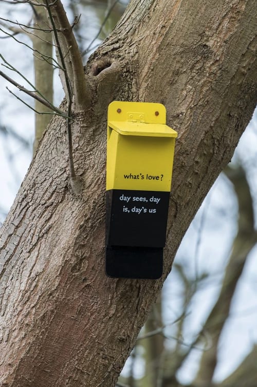 A long thin wooden bird box, painted half in yellow and half in black. It is pinned to a large tree trunk. On the box in black and white text it reads: what