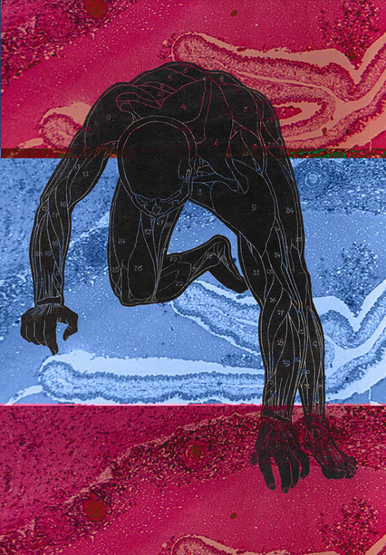 A portrait collage of a figure in black broached forward in motion. There are numbers across their body, similar to a paint-by-numbers drawing. The background is in three horizontal strips of pink and blue almost microscopic imagery.